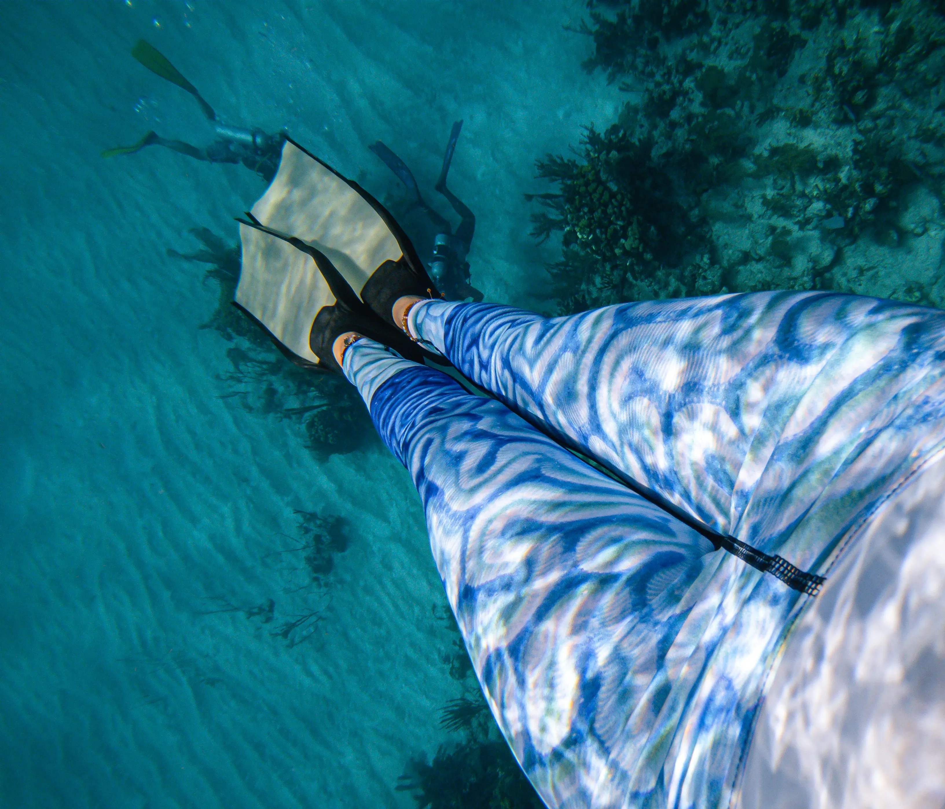 Brain Coral - Sports -  Underwater  Leggings