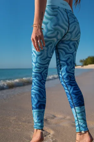 Brain Coral - Sports -  Underwater  Leggings